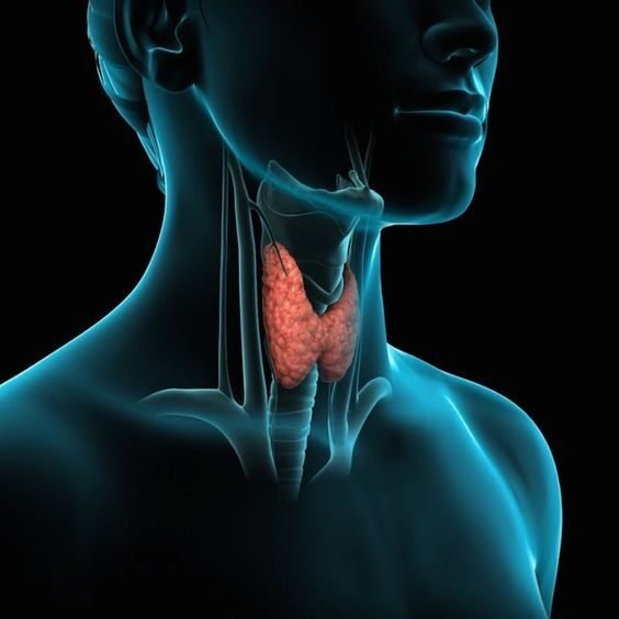 Thyroid Nodule Treatment